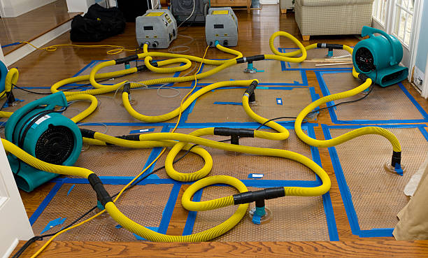 Professional Burst Pipe Water Damage technician working in Dayton, OR